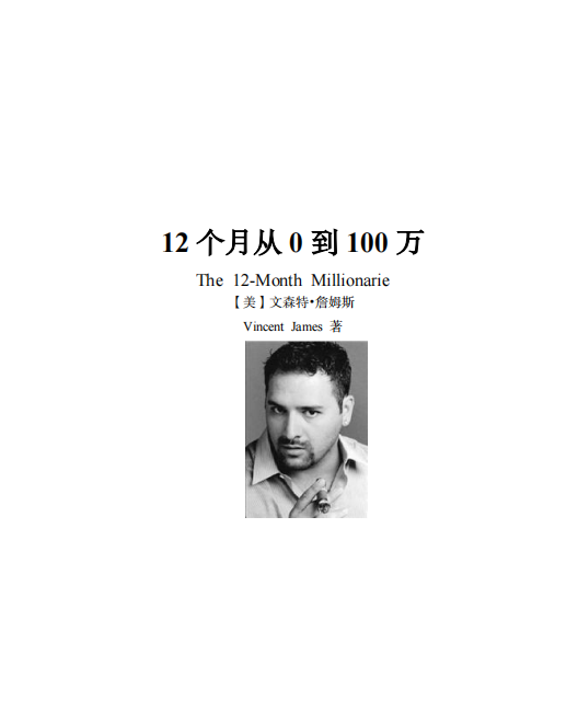 12个月从0到100万